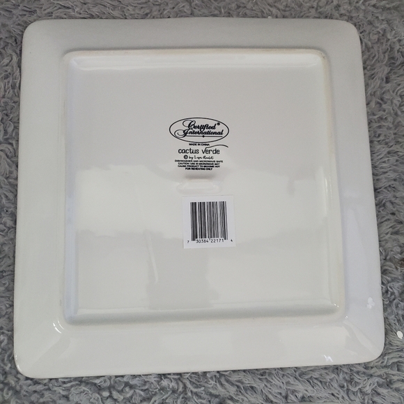 Cactus Verde Set of 4 Square 8.5" Ceramic Salad/Dessert Plates – Assorted Waterc - Picture 7 of 9